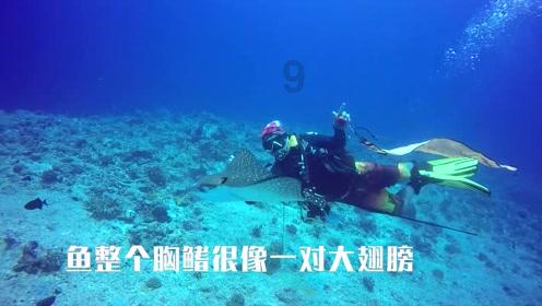 最美的校园女生67